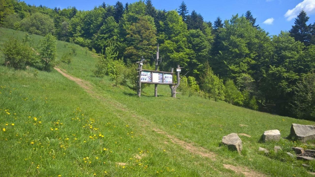 Pod Kamiennikiem Hotel Trzemesnia Bagian luar foto